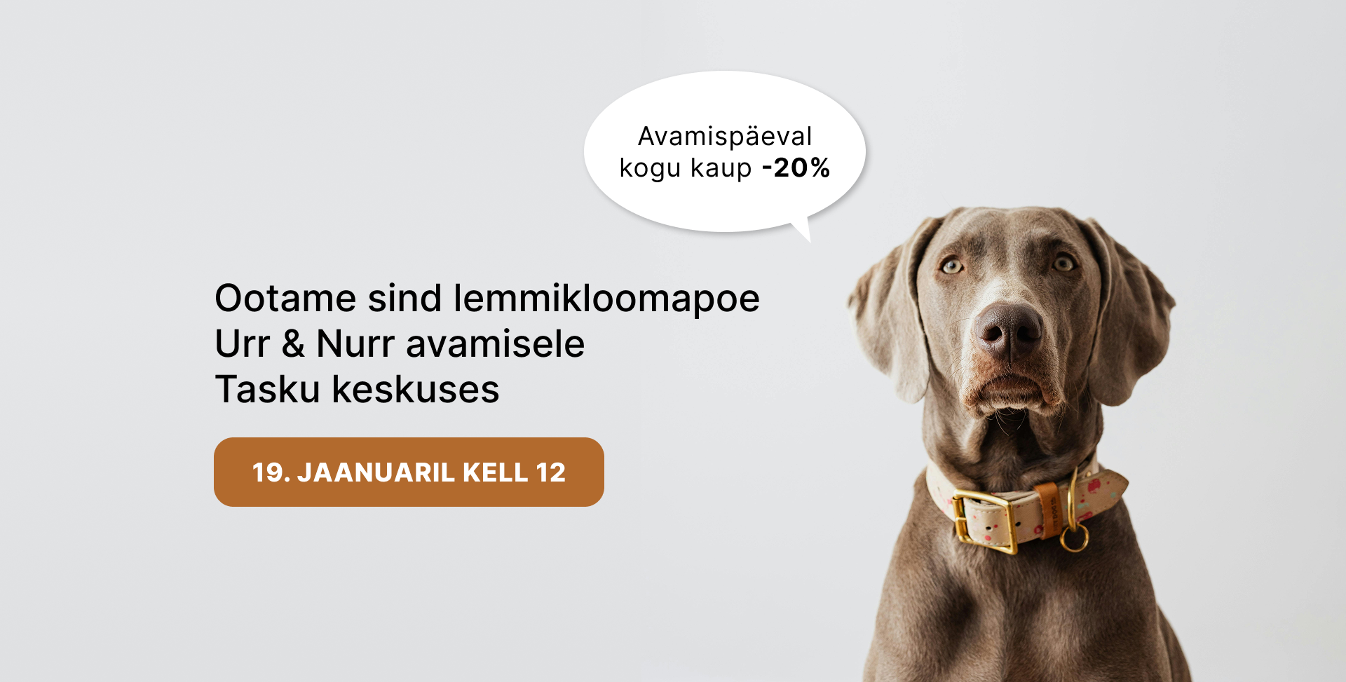 

Kutsume sind esmaspäeval, 19. jaanuaril Tasku keskusesse uue lemmikloomapoe Urr & Nurr avamisele!
Pidustustega alustame juba kell 12 ning oodatud on nii kahe 